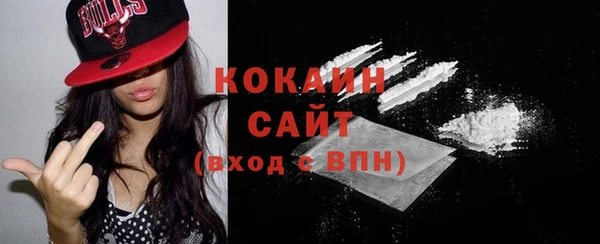 молекула духа Заводоуковск