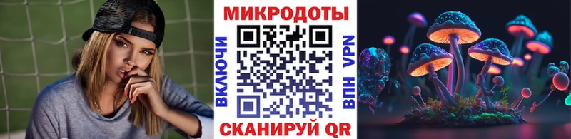 Галлюциногенные грибы Psilocybe  Купить закладки  Макаров 